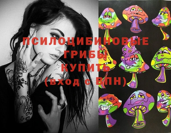 PSILOCYBIN Балахна