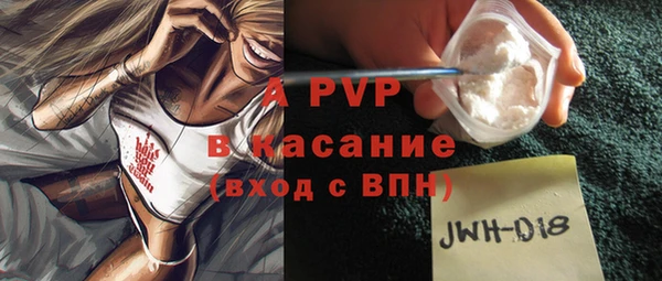 PSILOCYBIN Балахна